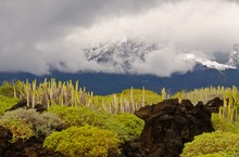 Wintereinbruch auf Teneriffa