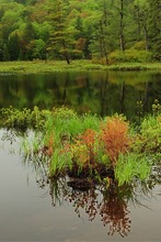 Frühling im Haliburton Forest