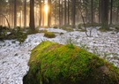 Zwischen Winter und Frühling
