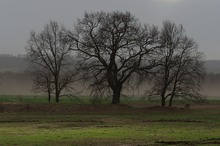 hausgemachter Sandsturm