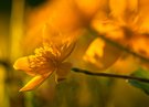 Lichtdurchflutet