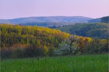 frühlingshafter Wienerwald