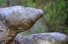 Trockenform