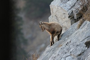 Die Spielwiese der Steinkinder