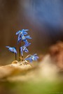 "Frühjahr, Sommer, Herbst, Winter... und wieder Frühjahr"