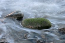 Steine im Meer