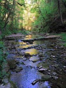 Gauchachschlucht