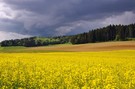 Frühlingslandschaft