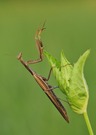 Ein Bild vom letzten Sommer