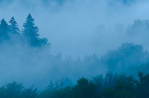 Immer wieder Nebel