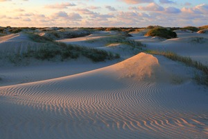 > Abendlicht in den Dünen von De Hors <