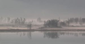 Kalterer See im Morgennebel