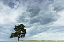 Landschaft-minimalistisch