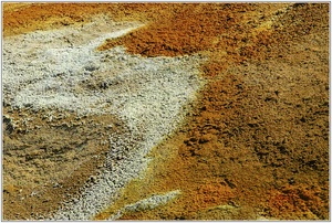 Farbspiel der Natur