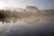 Herbstnebel