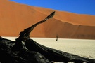 Namib