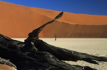 Namib