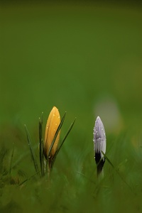 Begegnung im Frühling