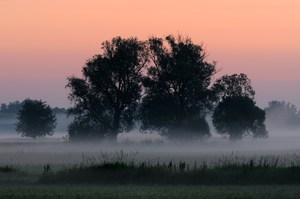 Morgenstimmung an der Havel