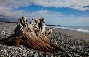 Strandgut