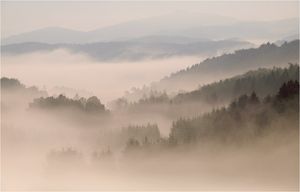 Morgens über dem Elztal