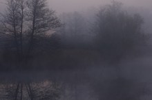 ...Nebelstimmung am Köppchensee...