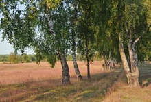 Grüße aus Meck-Pom