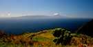 Pico