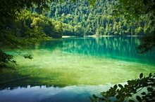 Alpsee