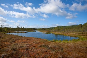 Moor in Schweden