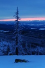 Sonnenaufgang auf dem Lusen
