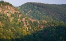 Bodetal