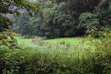 Weltersbachtal - Leichlingen - Bergisches Land - REGENWETTER