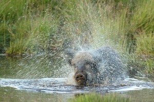 Water fun!!