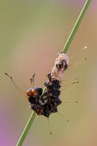 Wer bin ich und wenn ja wie heiße ich?