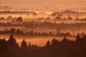 Vorgestern im Glück