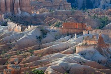 Bryce Canyon im ersten Licht