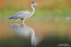 Glück am See