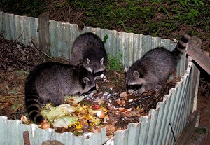 Abendessen