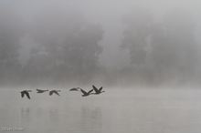 Flug im Nebel