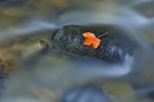 Bald wirds wieder Herbst