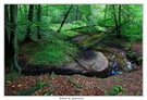 Spätsommer im Rotbachtal