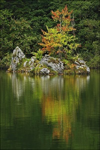 Die ersten herbstlichen Farben....