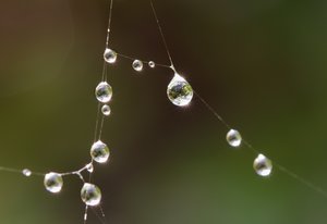 Das Funkeln der falschen Diamanten