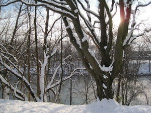 Winter am Lech