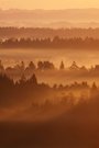 Strahlen im Nebel