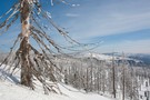 Nationalpark Bayerischer Wald