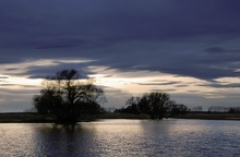 Abendspaziergang in den Elbwiesen