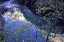 Flusslauf in der Aniscloschlucht ND