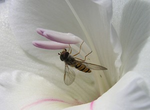 zurück zur Natur